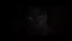 Redare Spectacolul de filme de la Hollywood depășește orașul etern din înregistrarea video