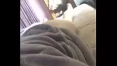 تشغيل التضليع سيئة لاتينا في الكاميرا