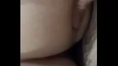 Oynat Sikeyim vietnamlı yumuşak kedicik