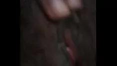 Jouer Bontà gattino
